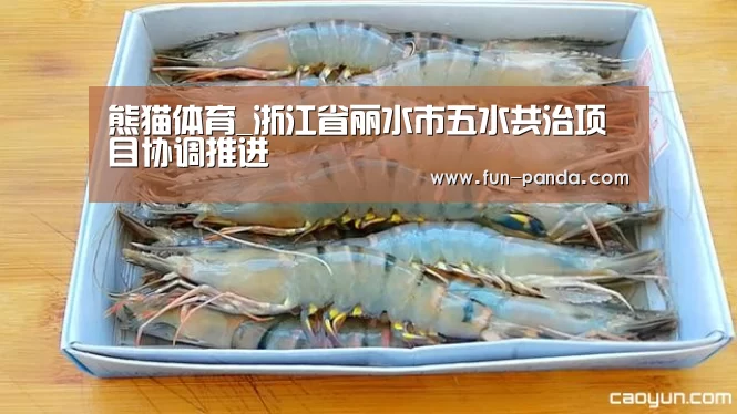 熊猫体育_浙江省丽水市五水共治项目协调推进(图1) 熊猫体育