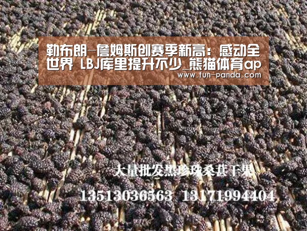 熊猫体育app