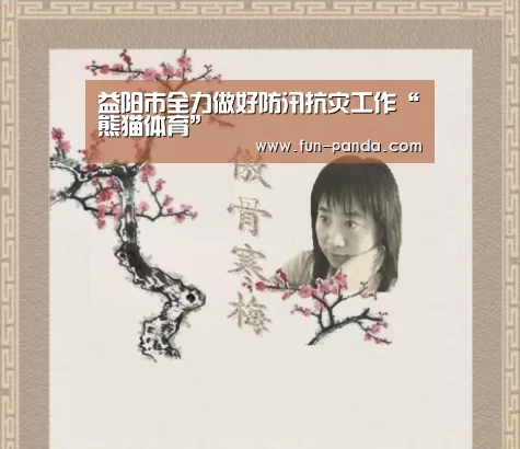 益阳市全力做好防汛抗灾工作“熊猫体育”(图1) 熊猫体育app